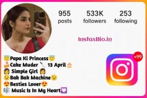 Instagram Bio For Girls Stylish