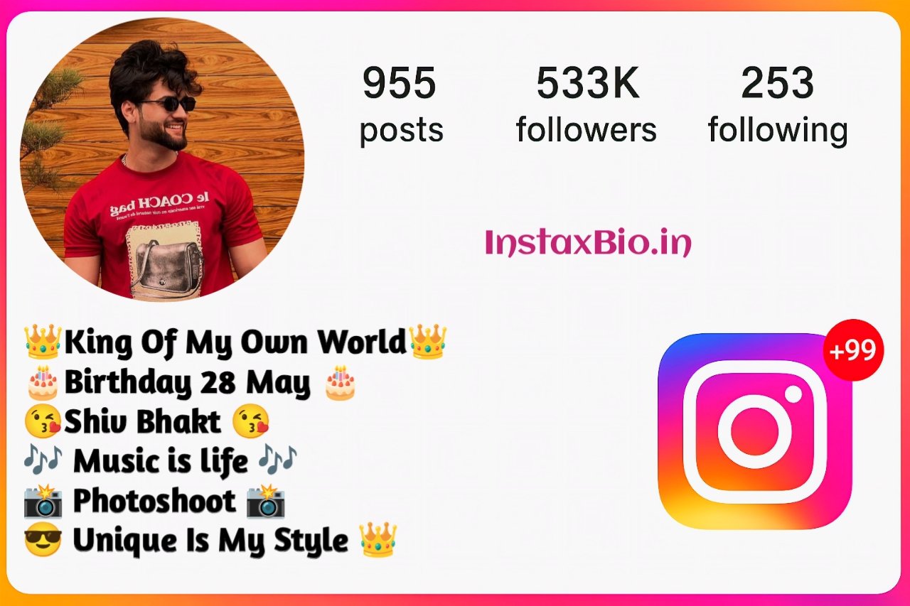 Short Instagram Bio For Boys