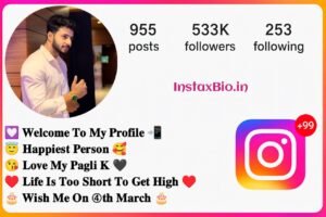 and Short Emoji Bio for Instagram